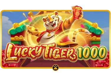 Mobile live casino browsing experience within bdt 4999 for Bangladesh players